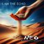 Near Earth Objects (NEO) – I Am the Echo